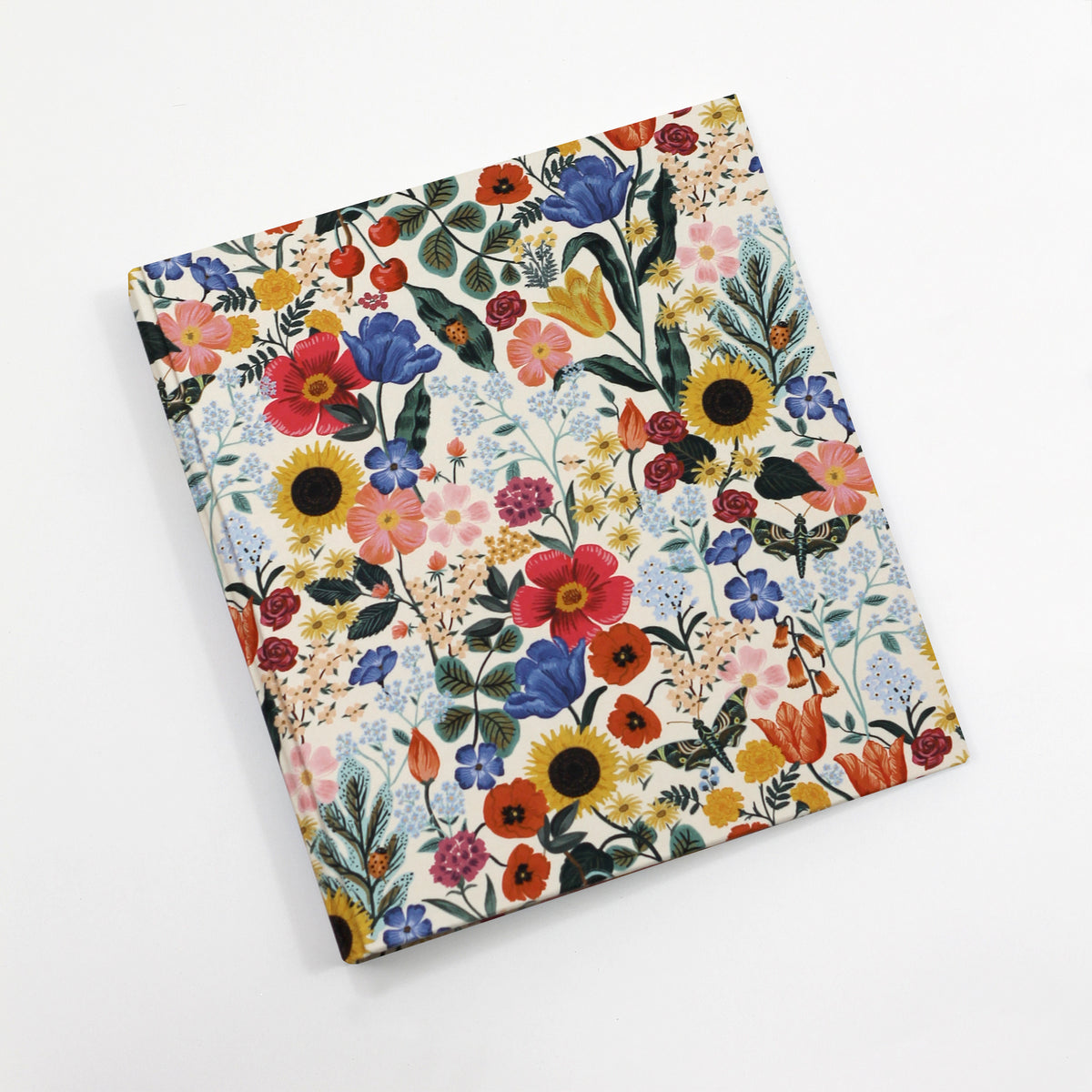Storage Binder for Photos or Documents | Limited Edition Cover: Blossom