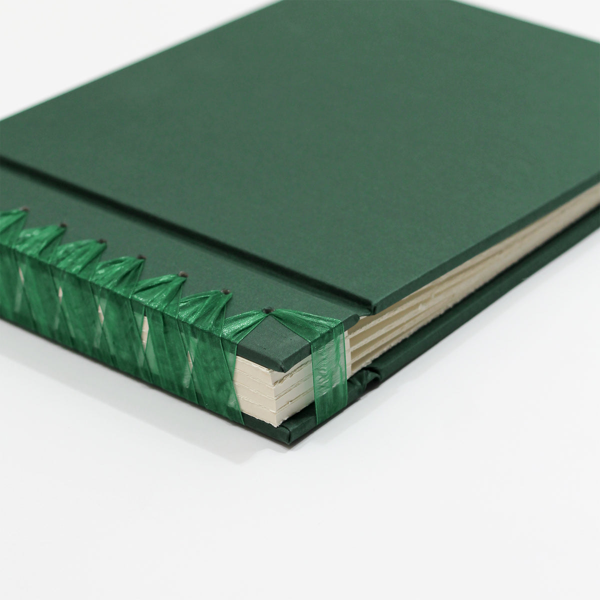 Deluxe 12 x 15 Paper Page Album | Cover: Emerald Silk | Available Personalized