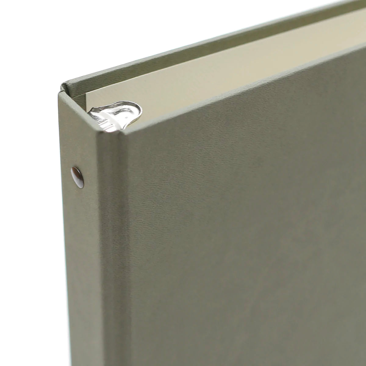 Large Photo Binder For 4x6 Photos | Cover: Moss Vegan Leather | Available Personalized