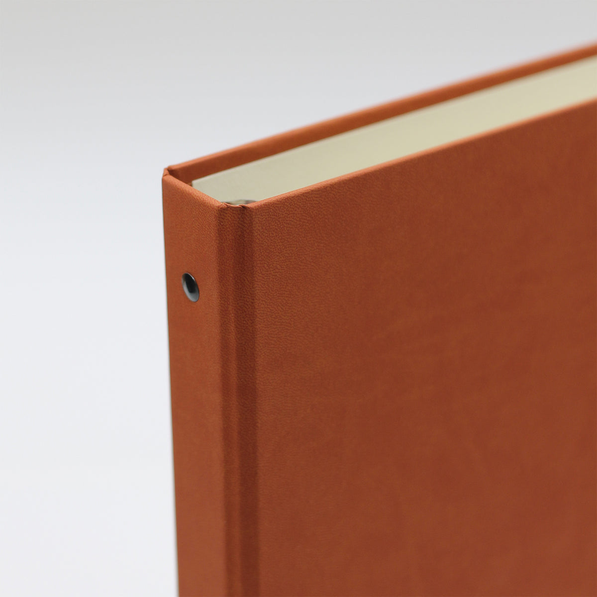 Medium Photo Binder For 4x6 Photos | Cover: Terra Cotta Vegan Leather | Available Personalized