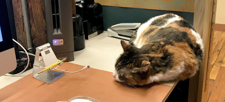 Monday, March 30th: Let's Work!