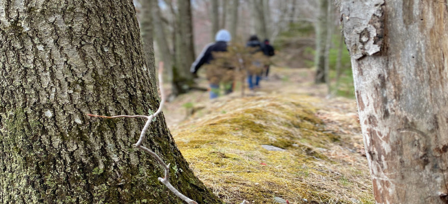 Saturday, April 4th: Hiking