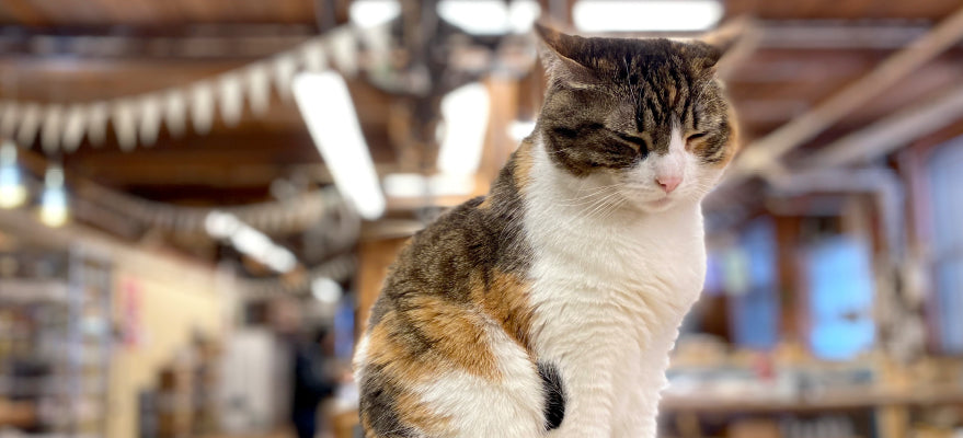 Monday, May 11th: Happy Monday!