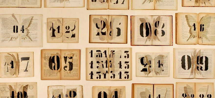 Wednesday, July 1st: Ekaterina Panikanova