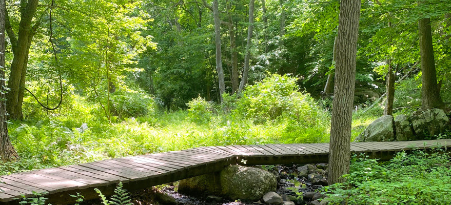 Friday, June 26th: Father's Day Hike