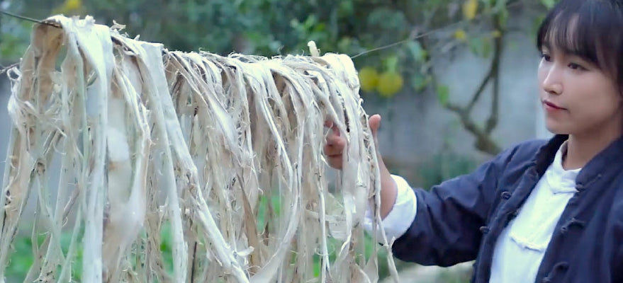 Friday, July 10th: Li Ziqi