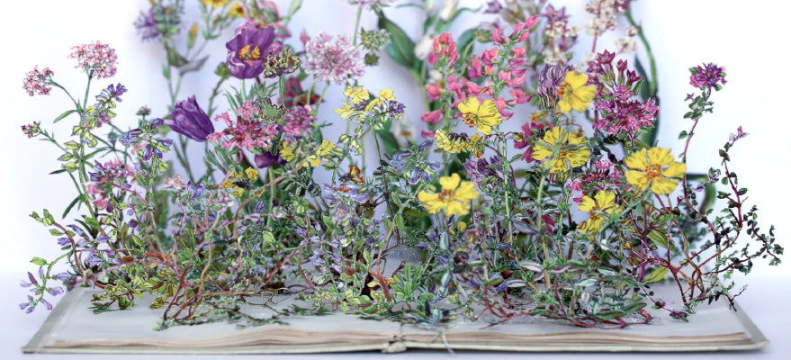 Thursday, June 11th: Su Blackwell