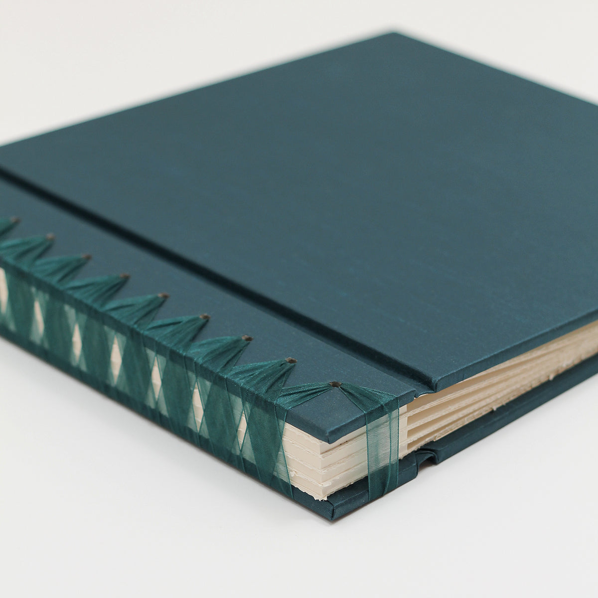12 x 15 Deluxe Album with Teal Blue Silk Cover