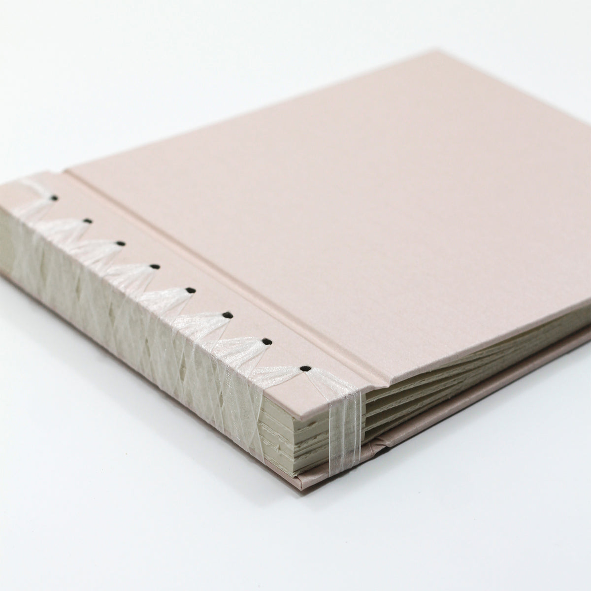 Small Paper Page Album with Blush Pink Silk Cover