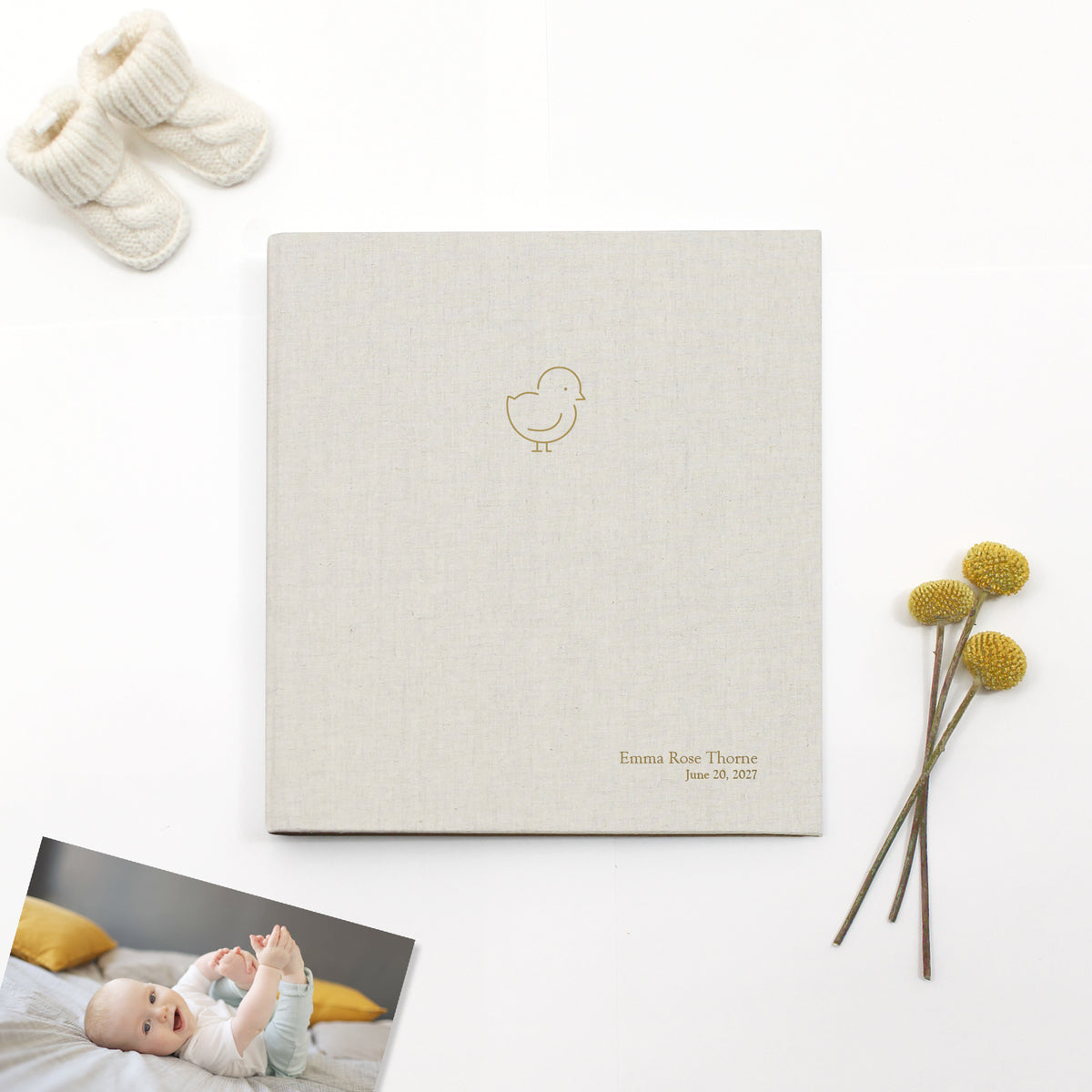 Baby Chick Photo Binder