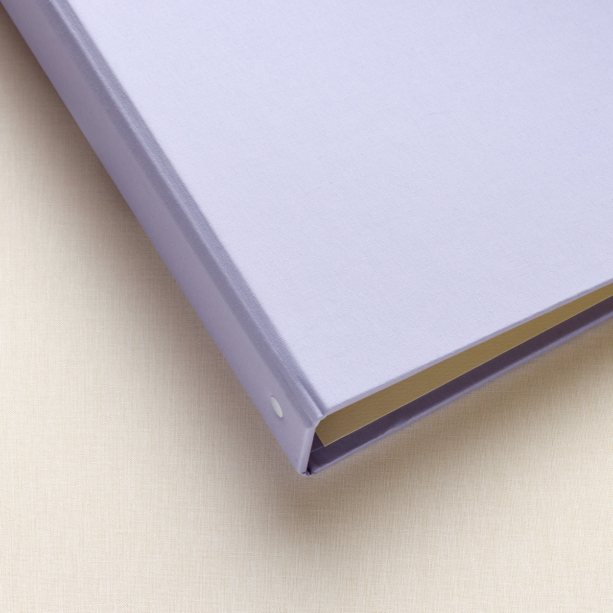 The Family History Album | Lavender Cotton