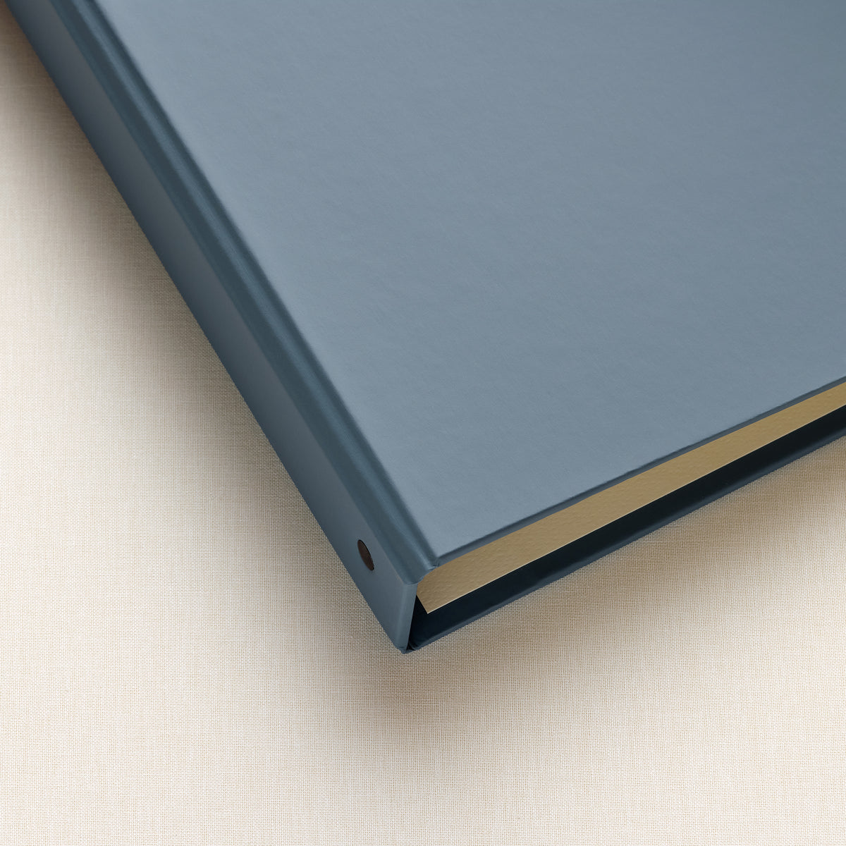 The Family History Album | Ocean Blue Vegan Leather