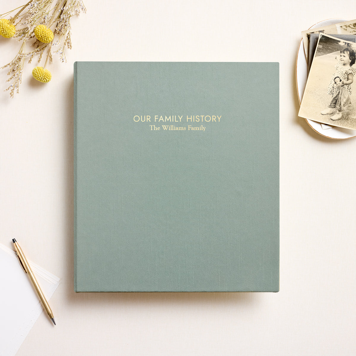 The Family History Album | Robin's Egg Blue Silk