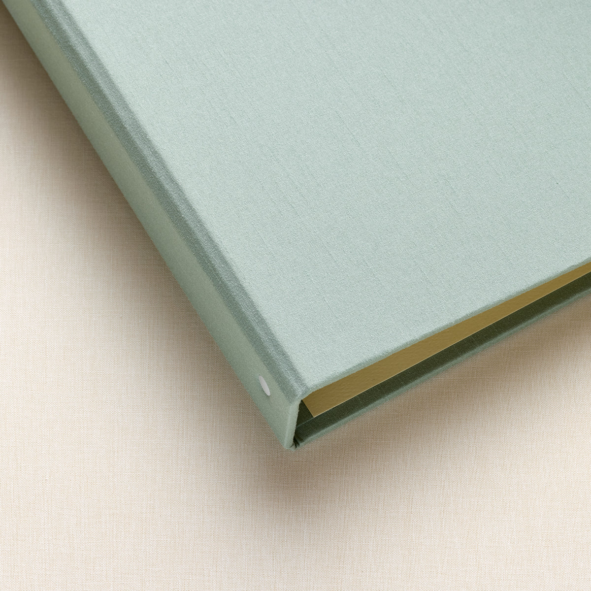 The Family History Album | Robin's Egg Blue Silk
