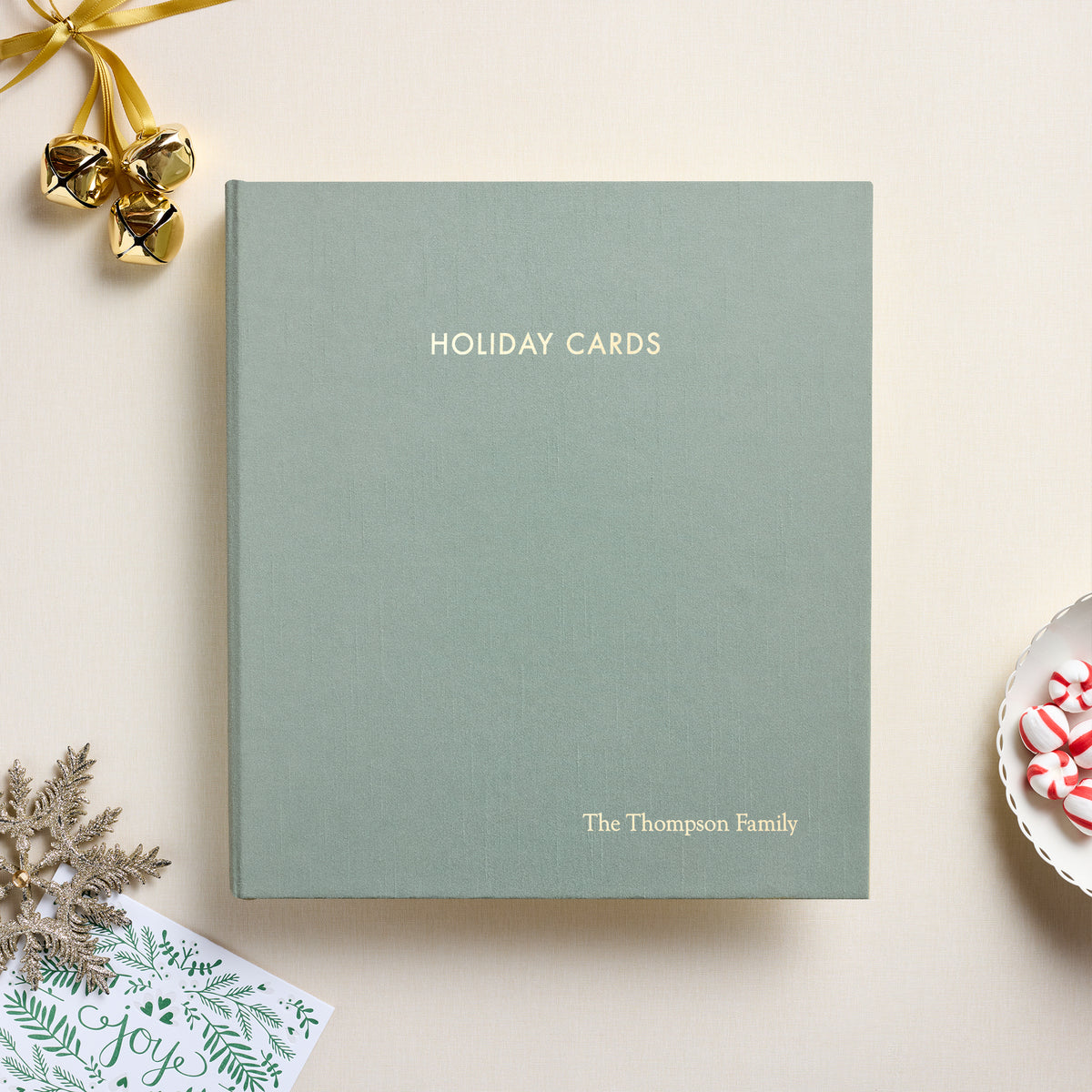 The Holiday Card Album | Robin's Egg Blue Silk
