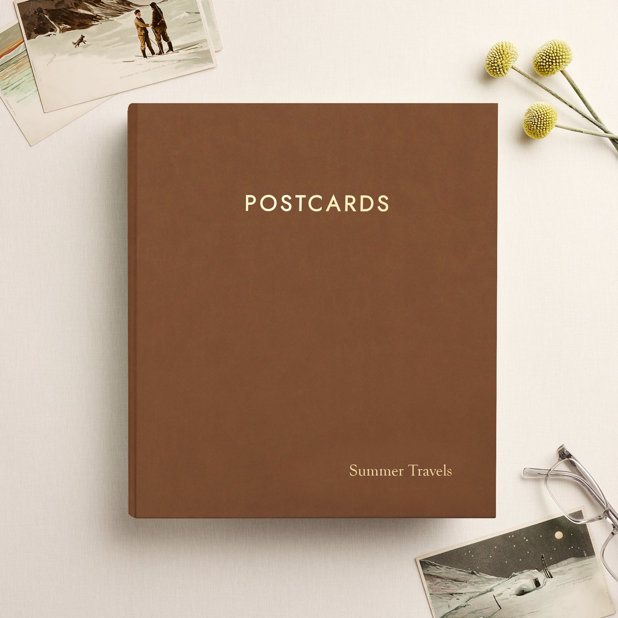 brown card binder The Large Postcard Album Quantity:100 Pack (full case) this binder holds up 4 Pokemon Card “Bulbasaur” 002/025