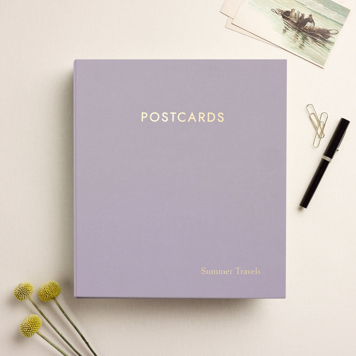 The Large Postcard Album | Lavender Cotton