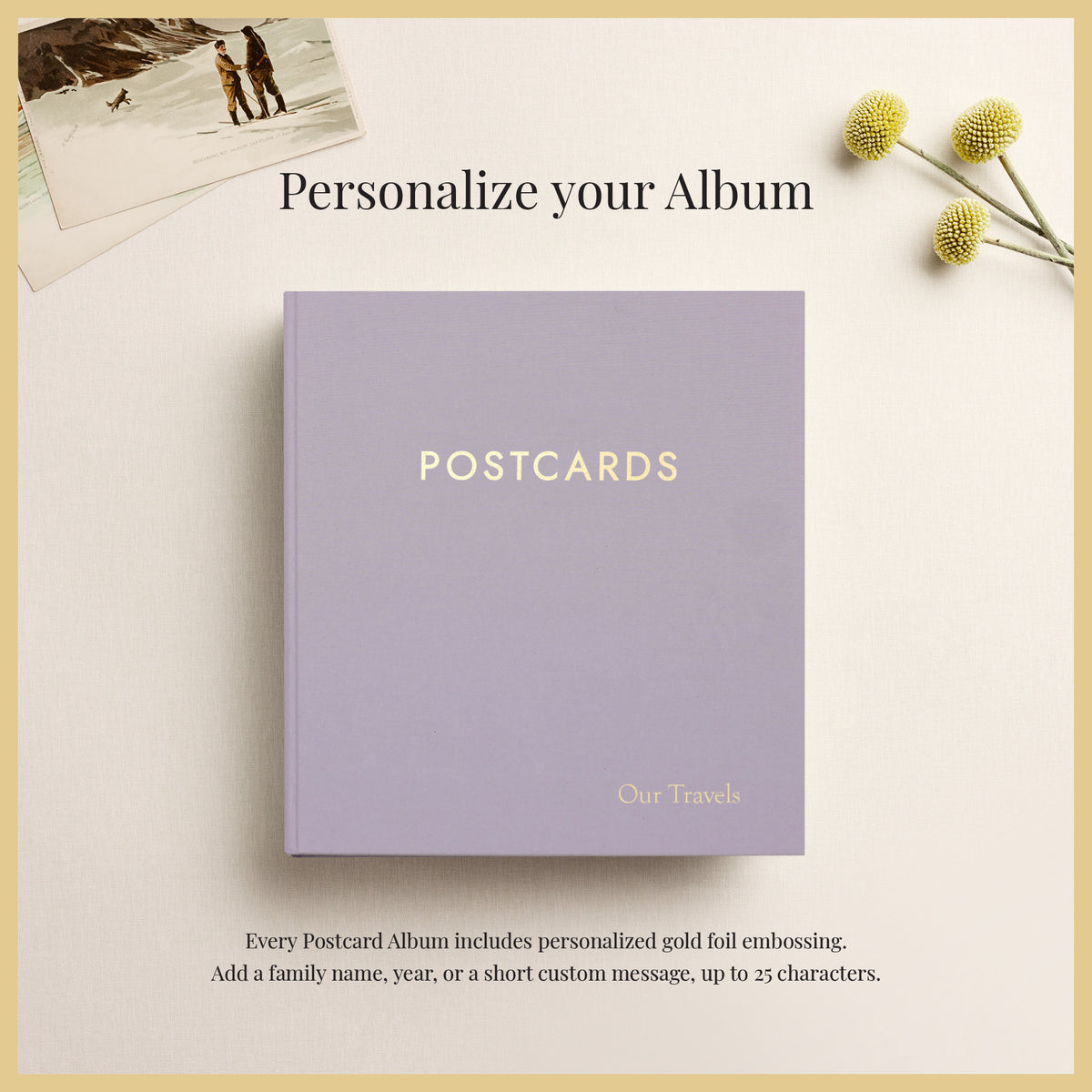 The Medium Postcard Album | Lavender Cotton