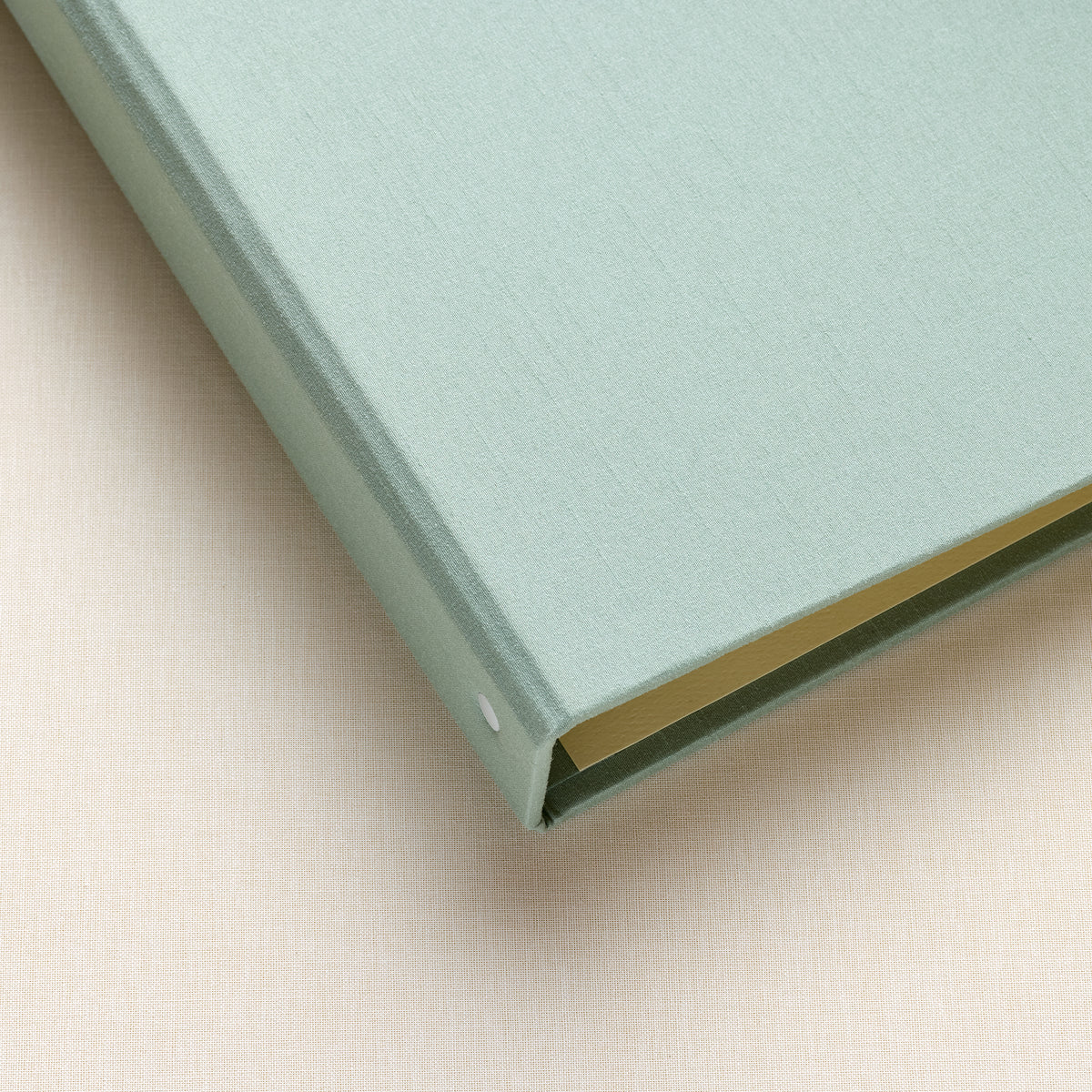 Letters To The Bride | Robin's Egg Blue Silk