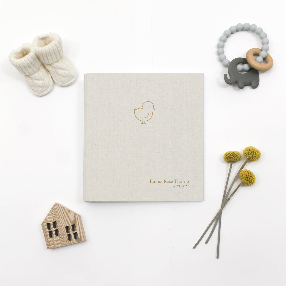 Baby Chick Photo Binder