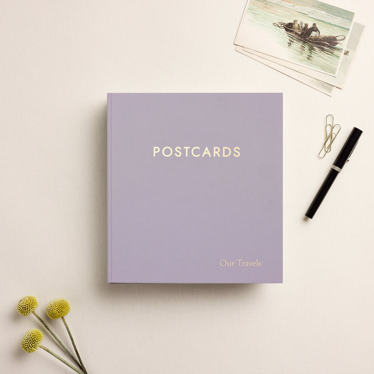 The Medium Postcard Album | Lavender Cotton
