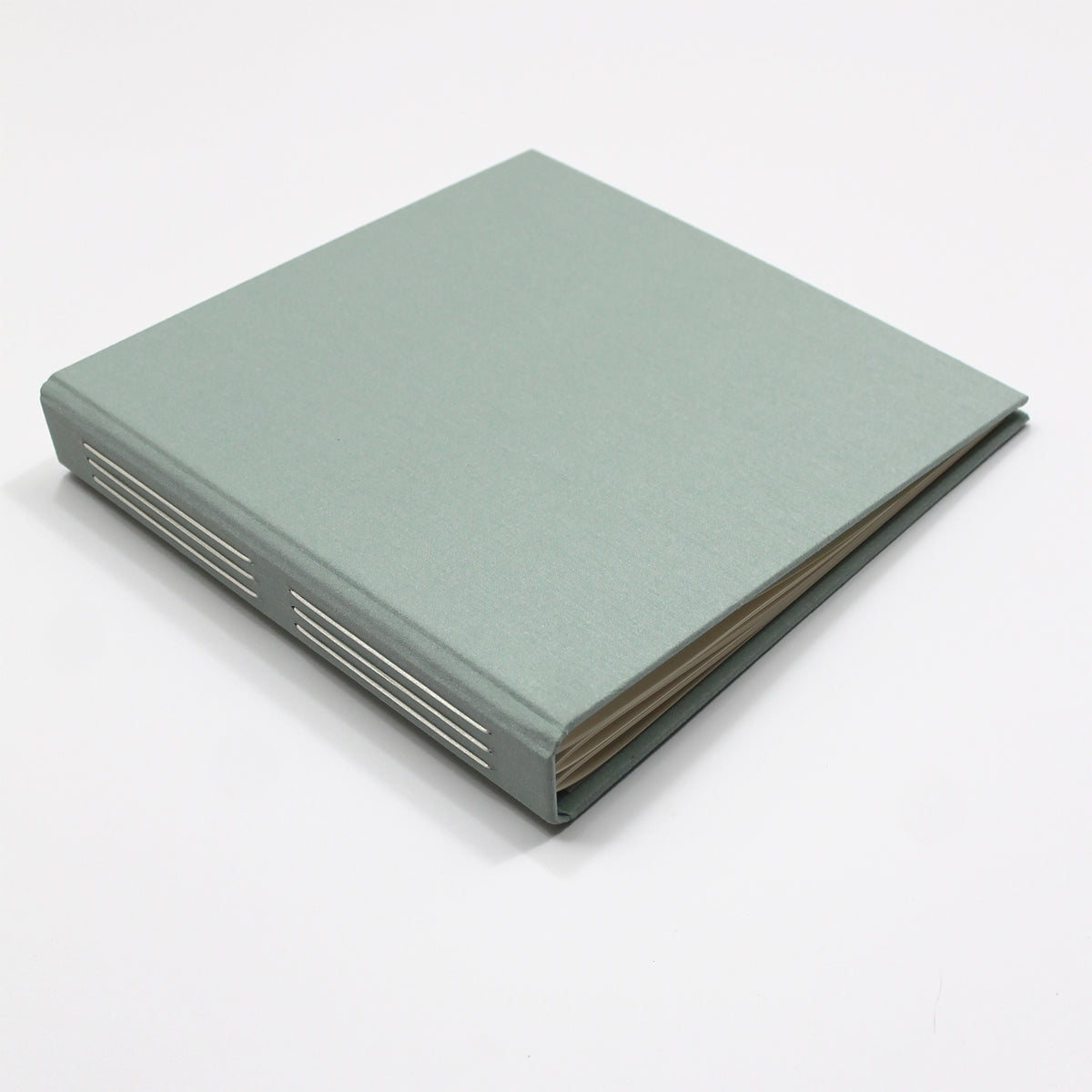 The Welcome Guestbook | Robin's Egg Blue Silk