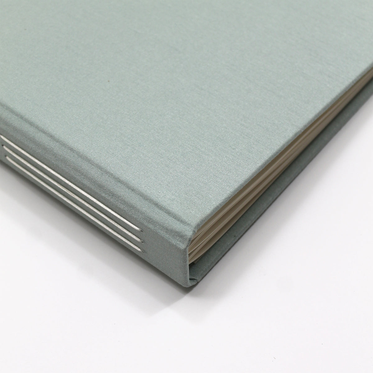 The Welcome Guestbook | Robin's Egg Blue Silk