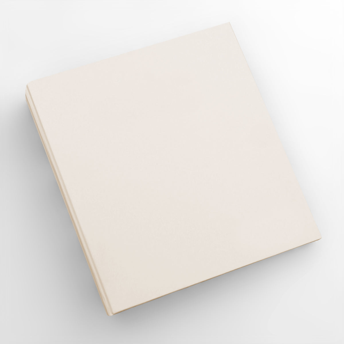 Large Photo Binder For 4x6 Photos | Cover: Pearl Vegan Leather | Available Personalized
