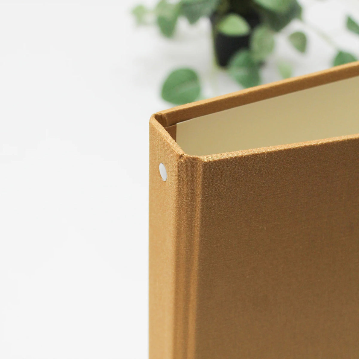 The Wedding Planner | Antique Gold Silk