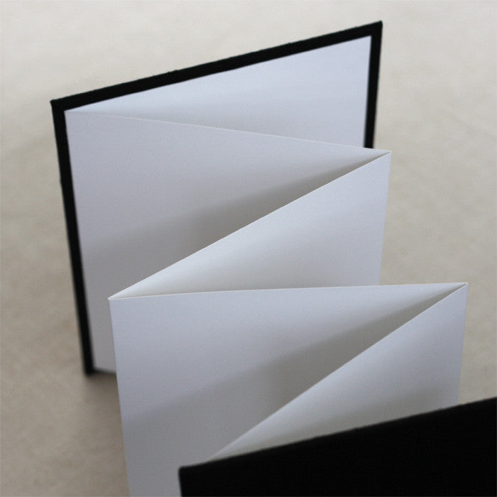 Accordion Book With Black Silk Cover
