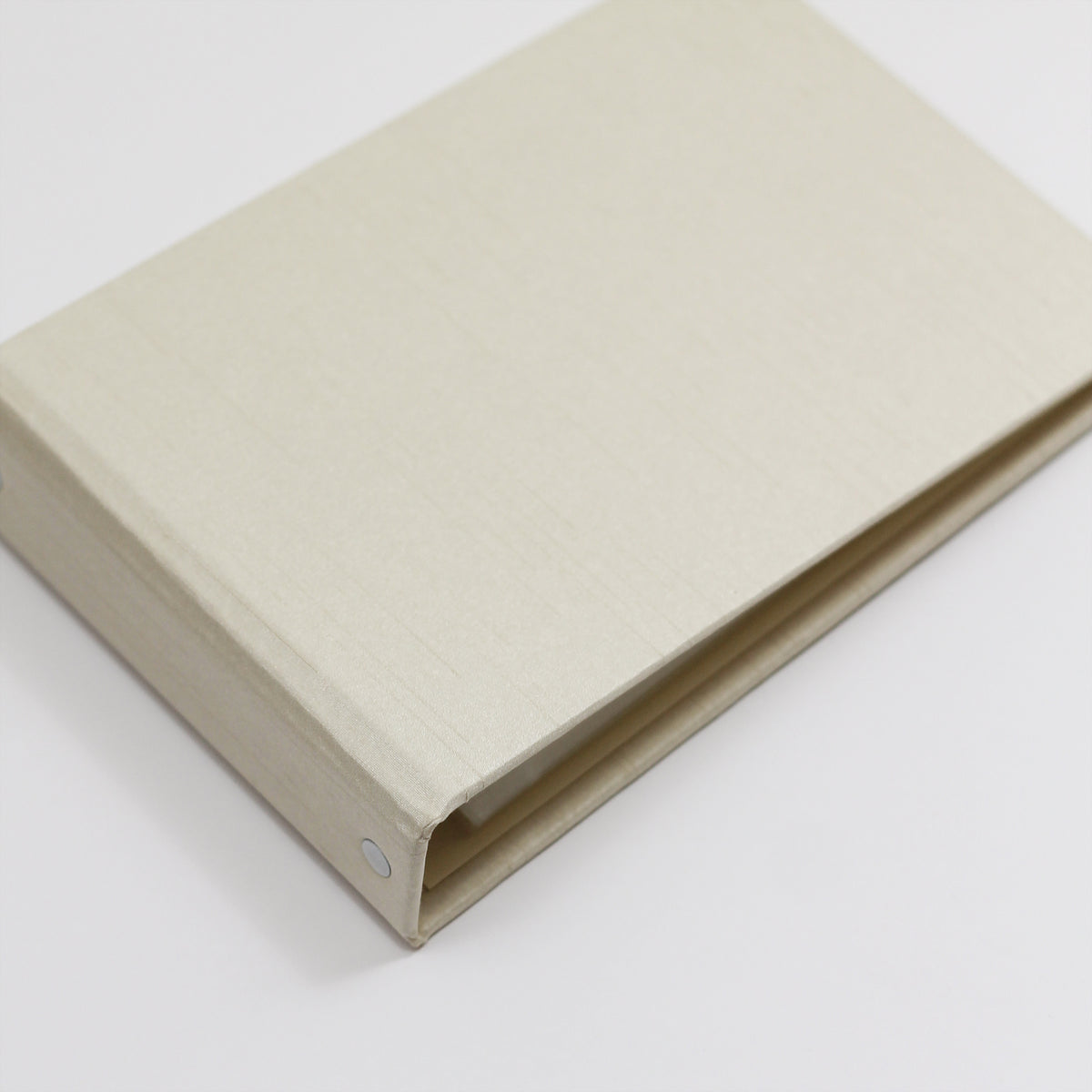 Small Photo Binder | for 4x6 Photos | with Champagne Silk