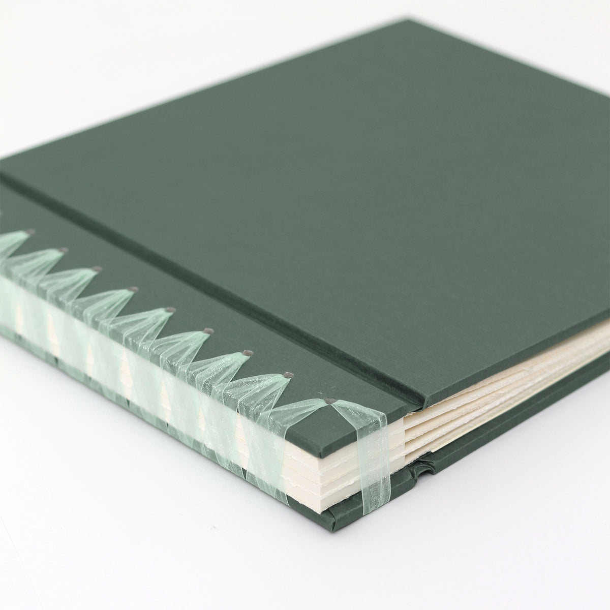 Large 10 x 15 Paper Page Album | Cover: Jade Silk | Available Personalized