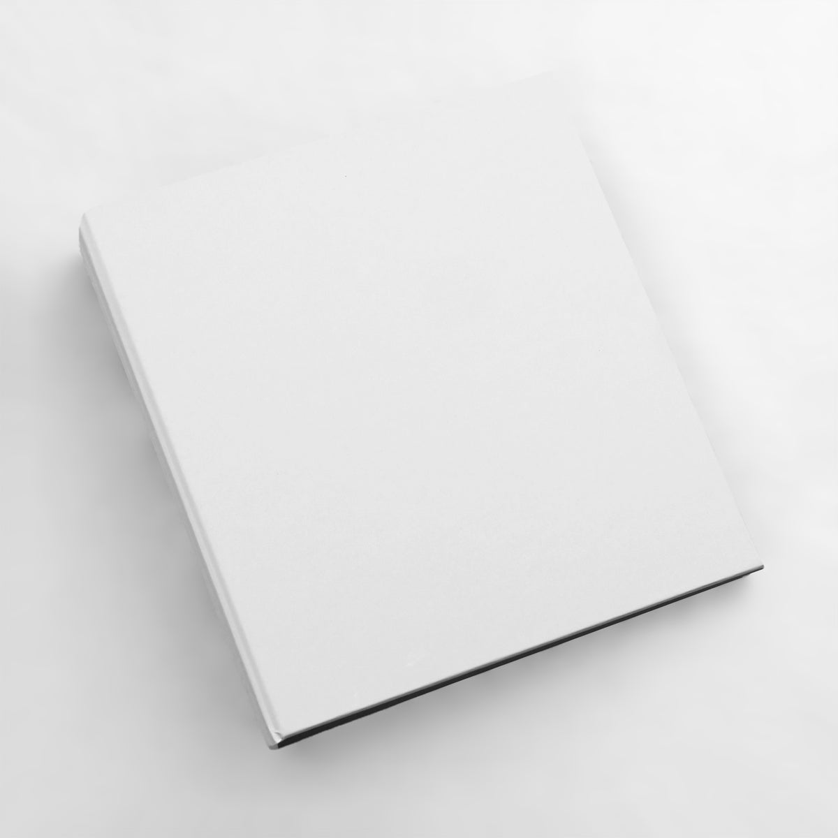 Medium Photo Binder For 4x6 Photos | Cover: White Vegan Leather | Available Personalized