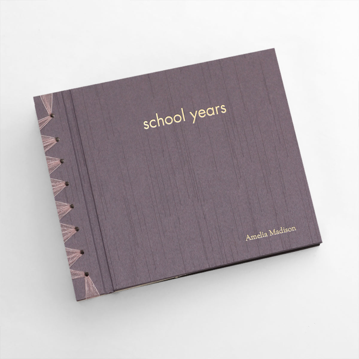 School Years with Amethyst Silk Cover