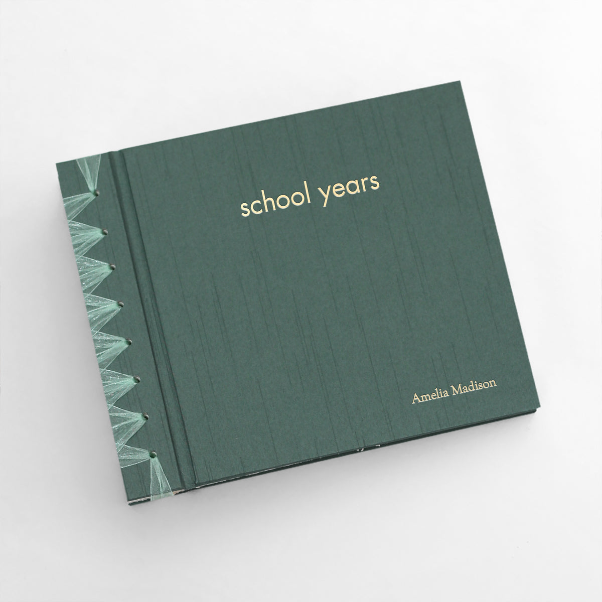 School Years with Jade Silk Cover